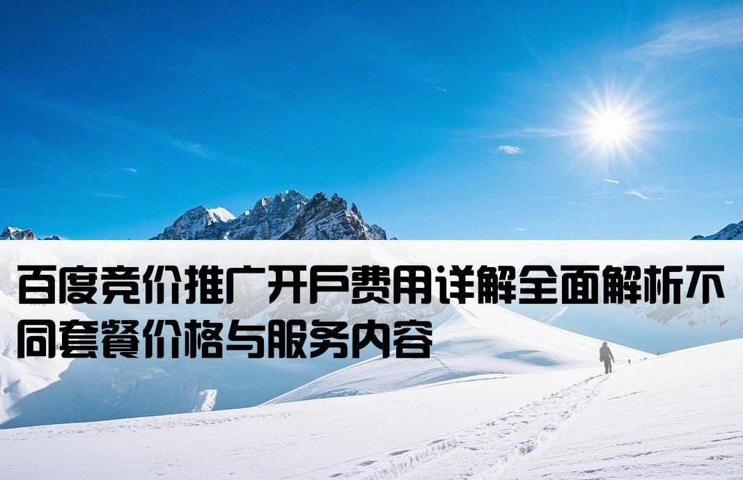 百度競價開戶 價格
