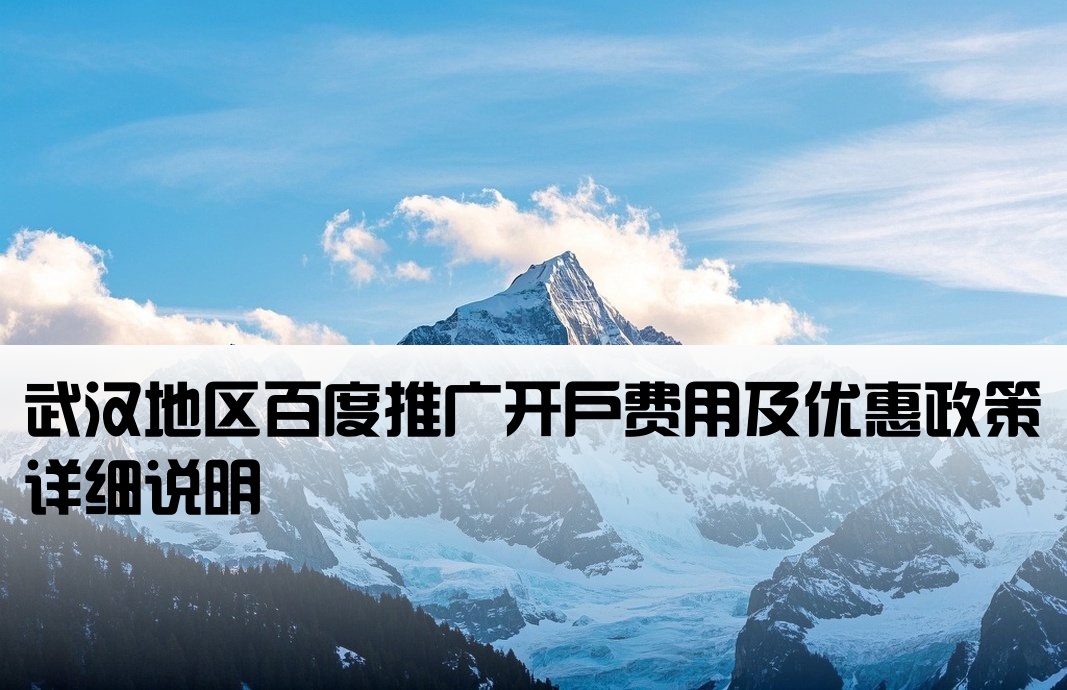 武漢百度公司開戶價格