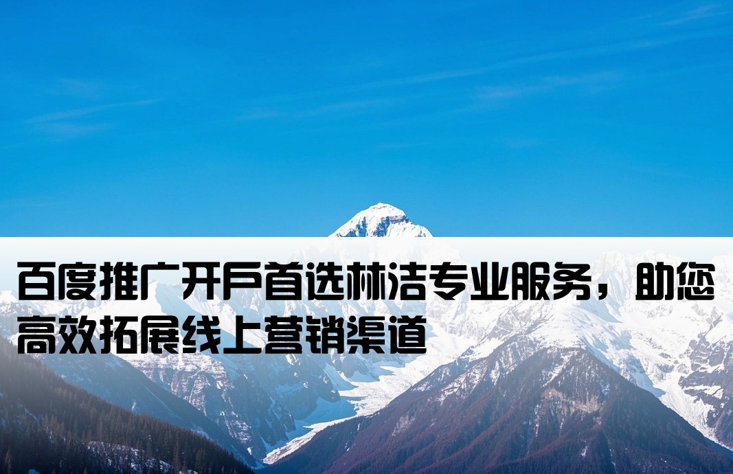 百度推廣開戶優去林潔
