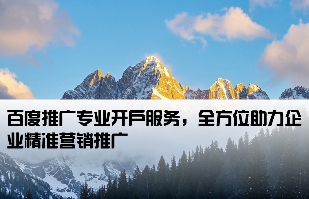 百度特殊推廣開戶