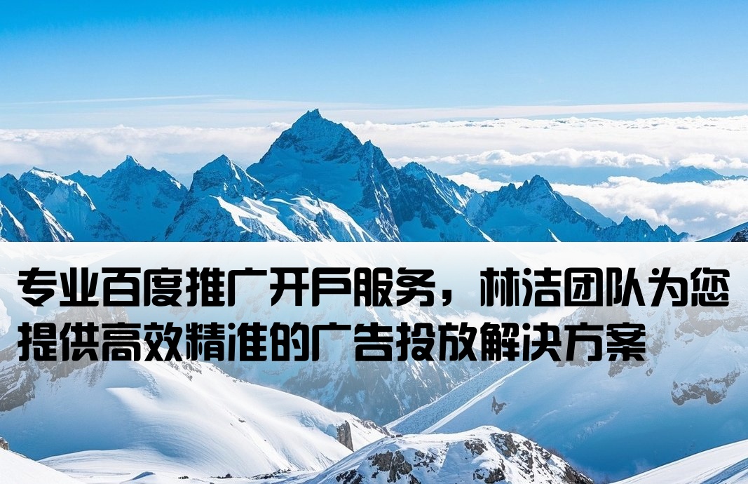 百度推廣開戶選擇林潔