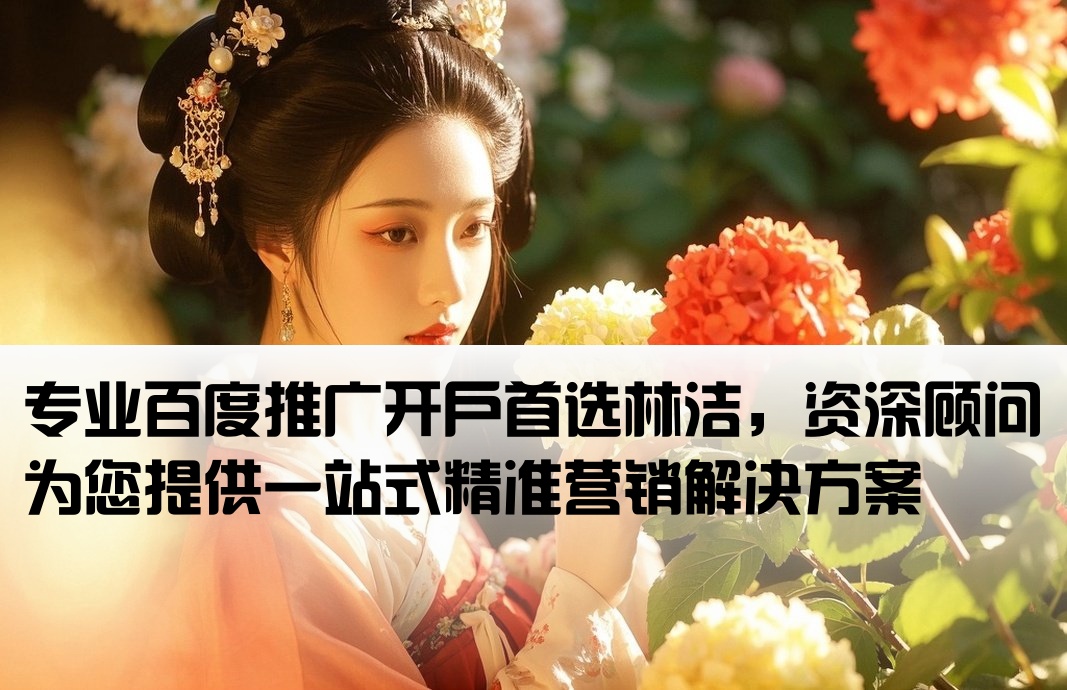 百度推廣開戶首找林潔