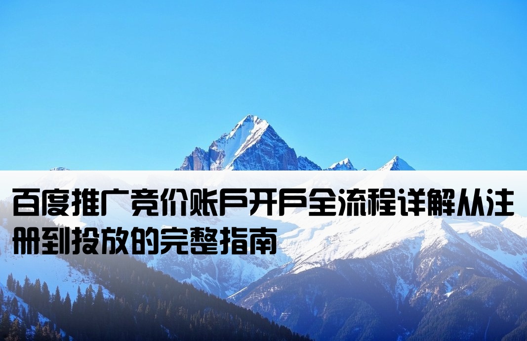 百度推廣競價開戶怎么開