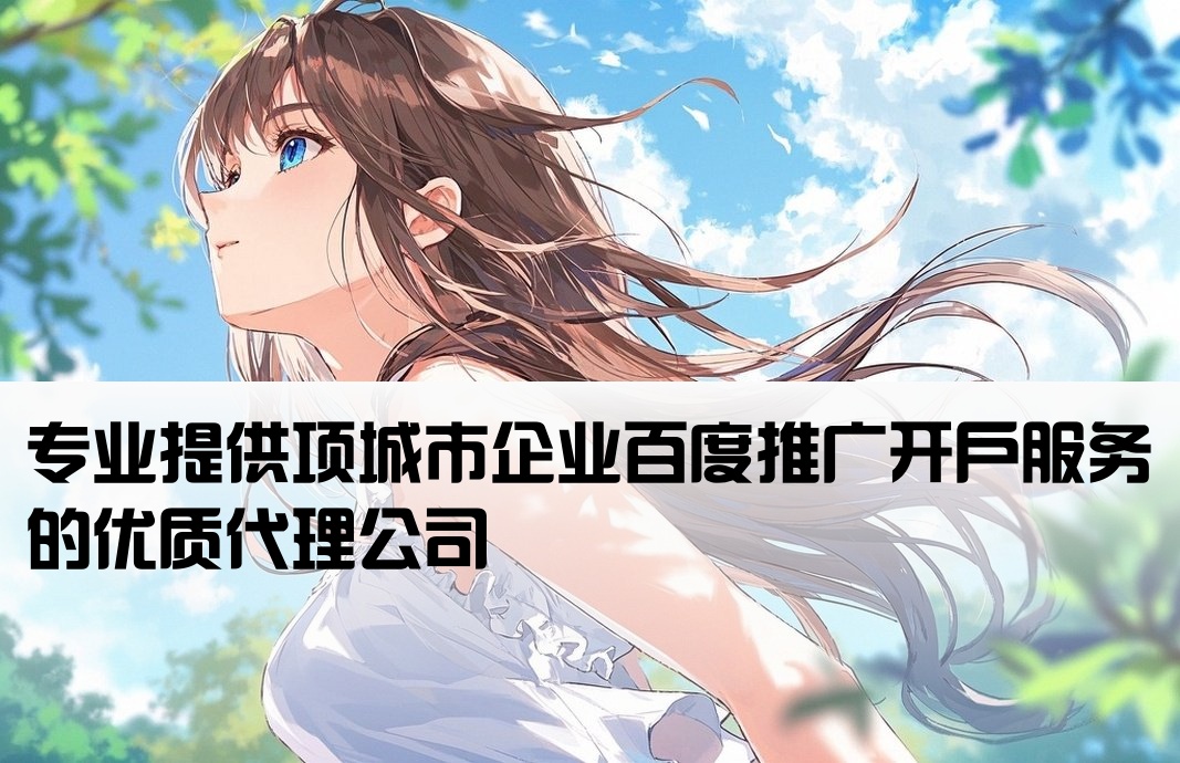 項城市百度推廣開戶公司