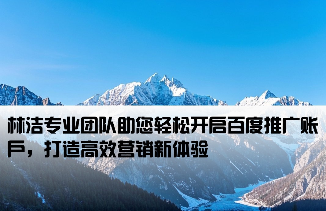 百度推廣開(kāi)戶首薦林潔