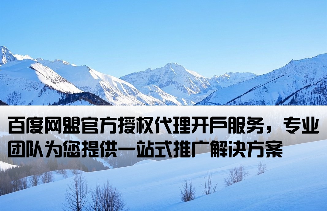 百度網(wǎng)盟網(wǎng)站代理開戶