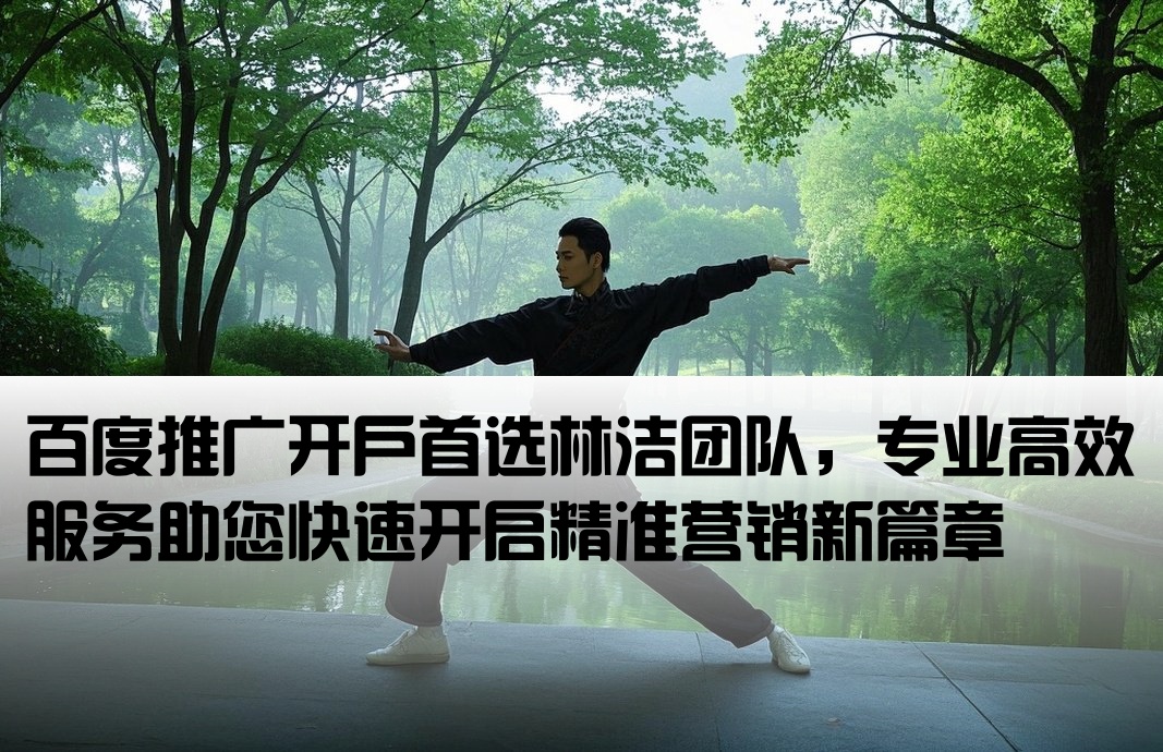 百度推廣開(kāi)戶(hù)優(yōu)到林潔